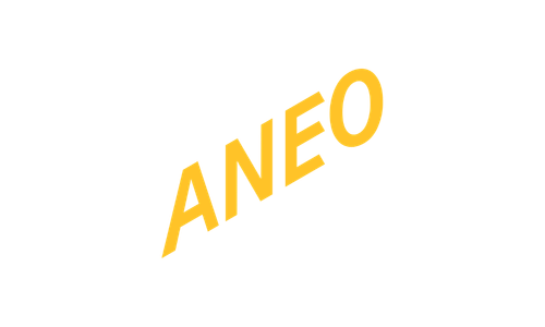 Aneo logga